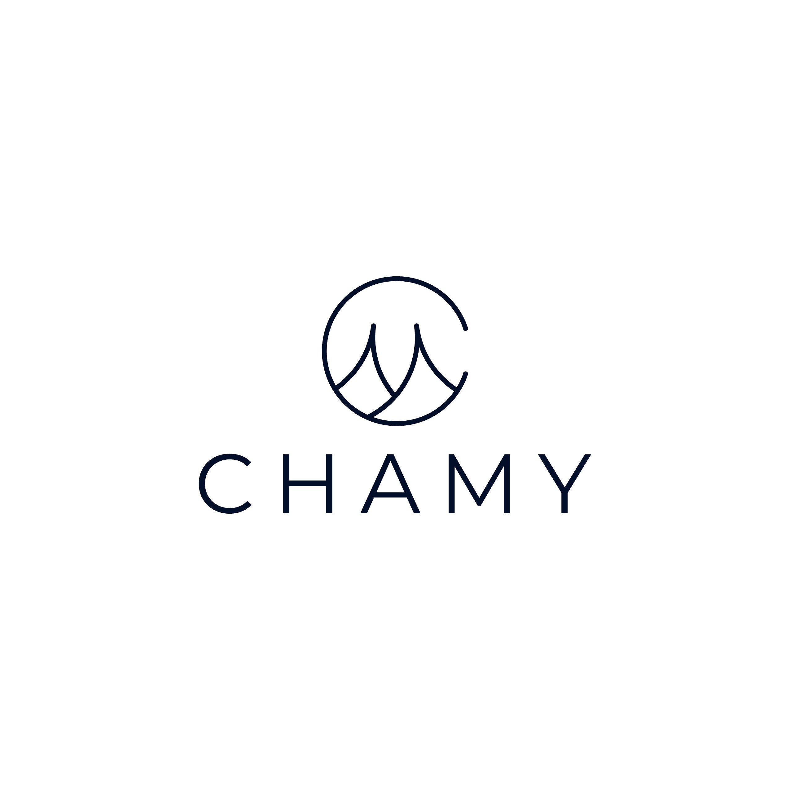 Hình ảnh 1 - Công Ty Đầu Tư Phát Triển Thương Mại Chamy