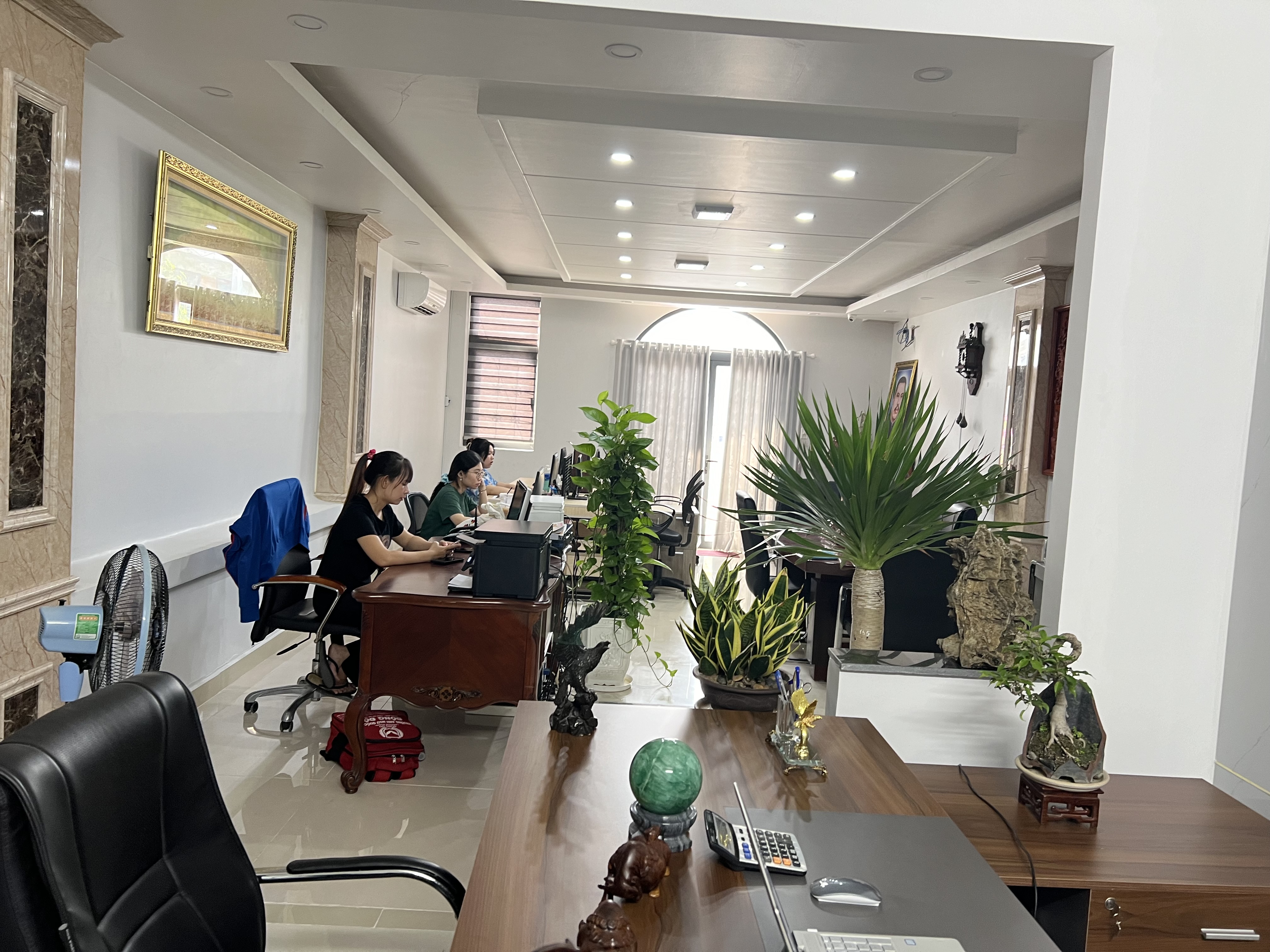 ảnh giới thiệu