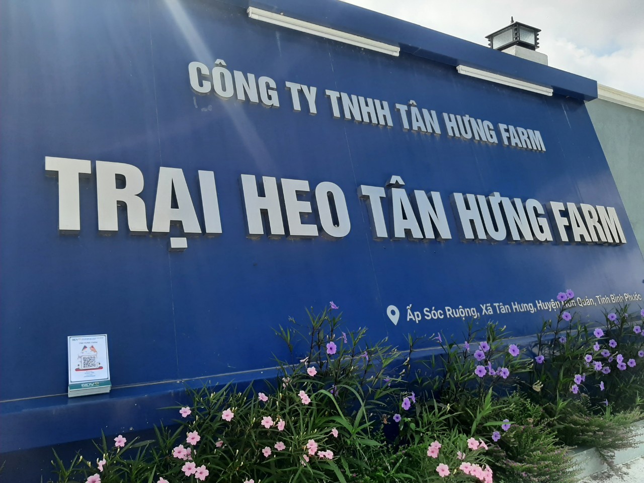 Hình ảnh 1 - Công Ty TNHH Tân Hưng Farm