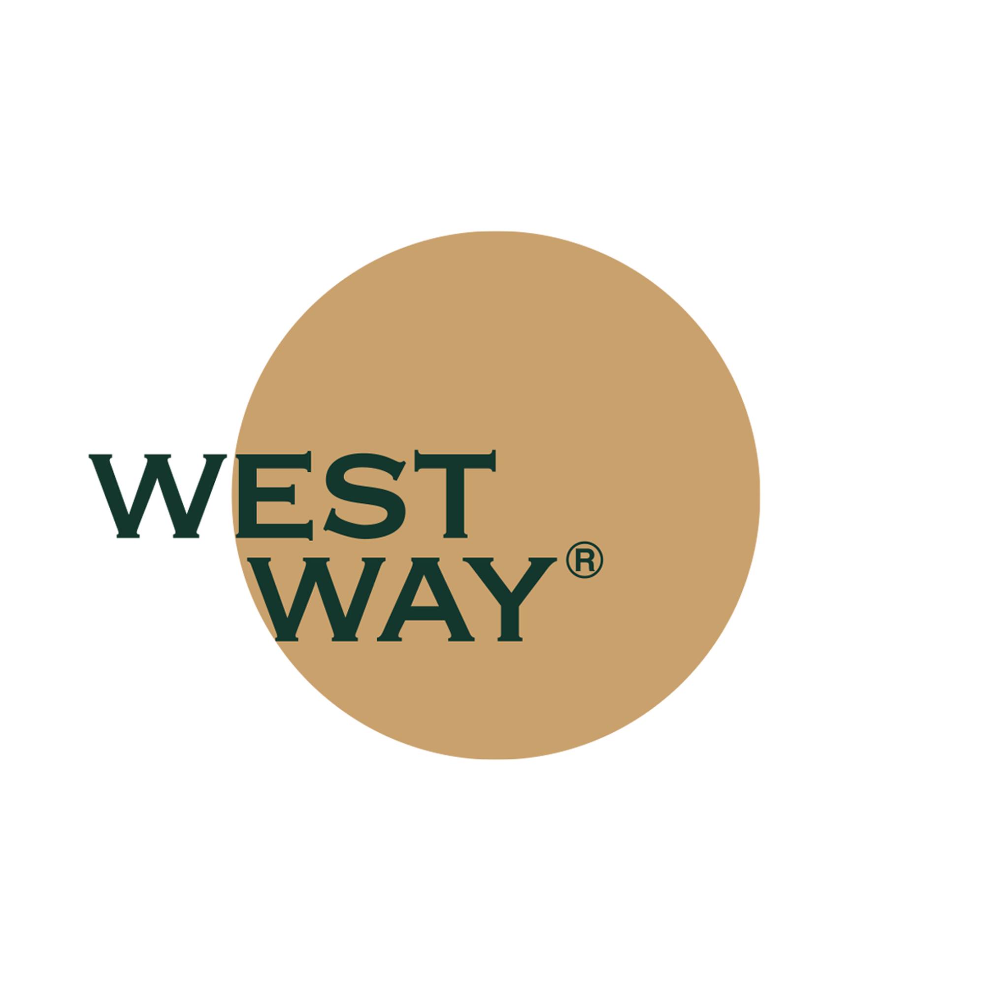 Hình ảnh 1 - Công Ty Cổ Phần Westway Dental