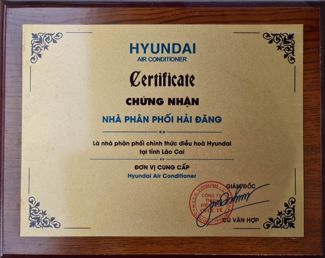 Hình ảnh 1 - Hải Đăng