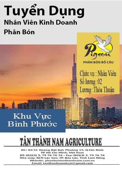 ảnh giới thiệu