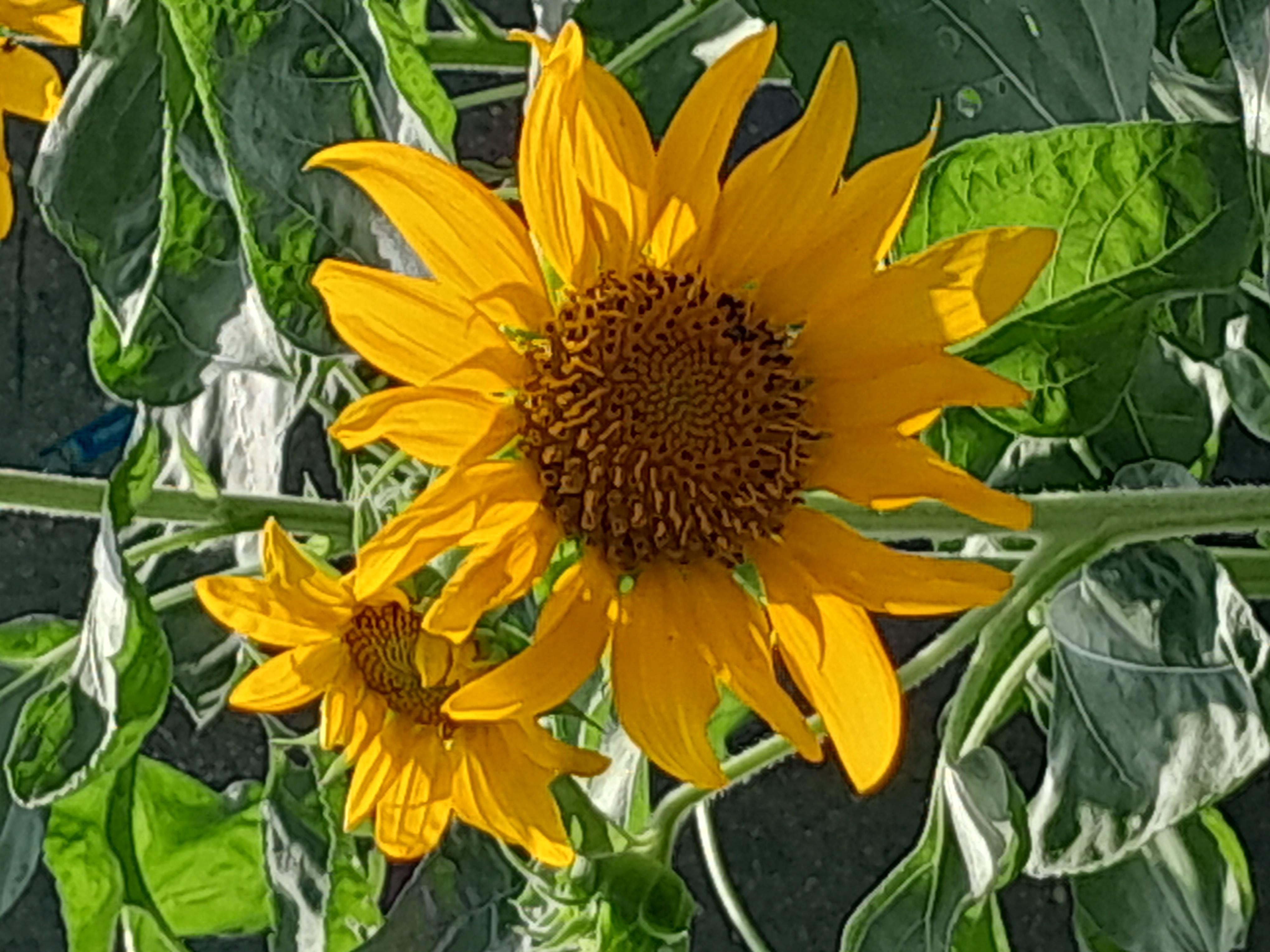 Hình ảnh 1 - Công Ty TNHH MTV Herbalife Việt Nam