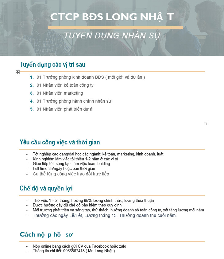 Hình ảnh 1 - CtCP Bđs Long Nhật