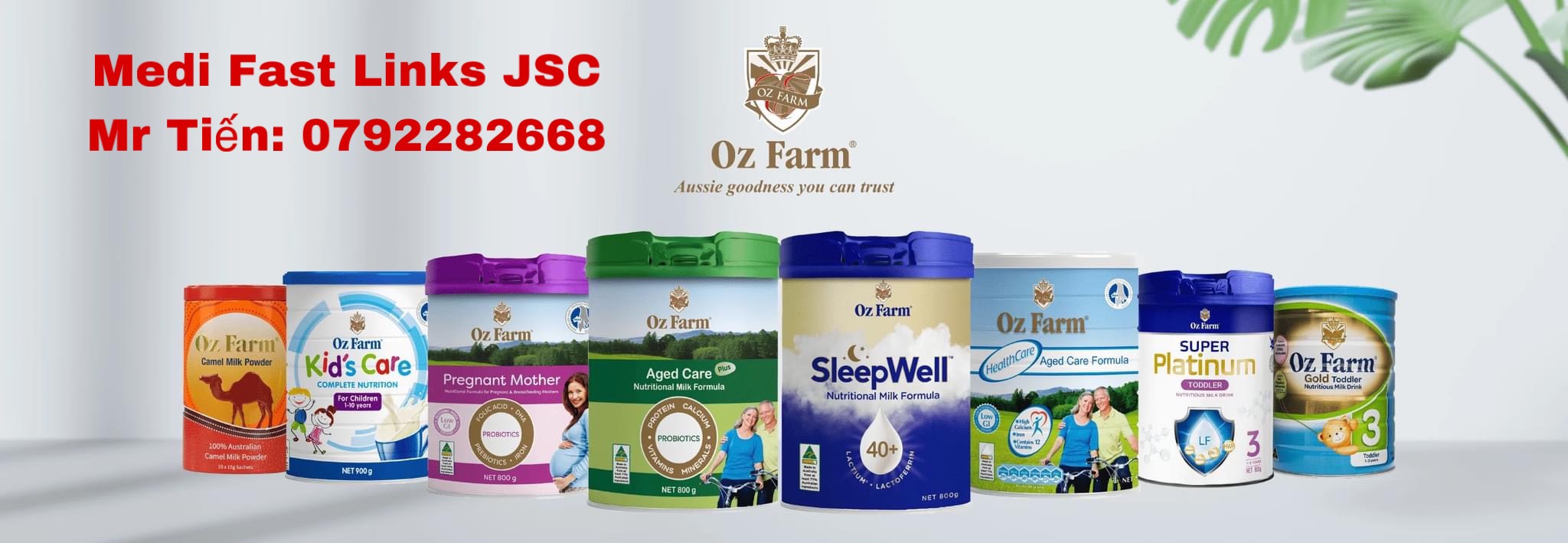 ảnh giới thiệu