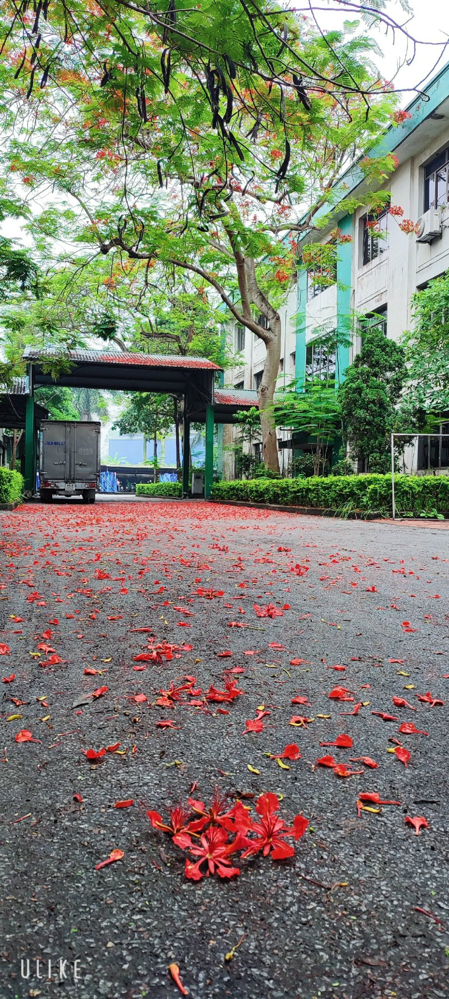 Hình ảnh 1 - Công Ty TNHH Global Sourcenet