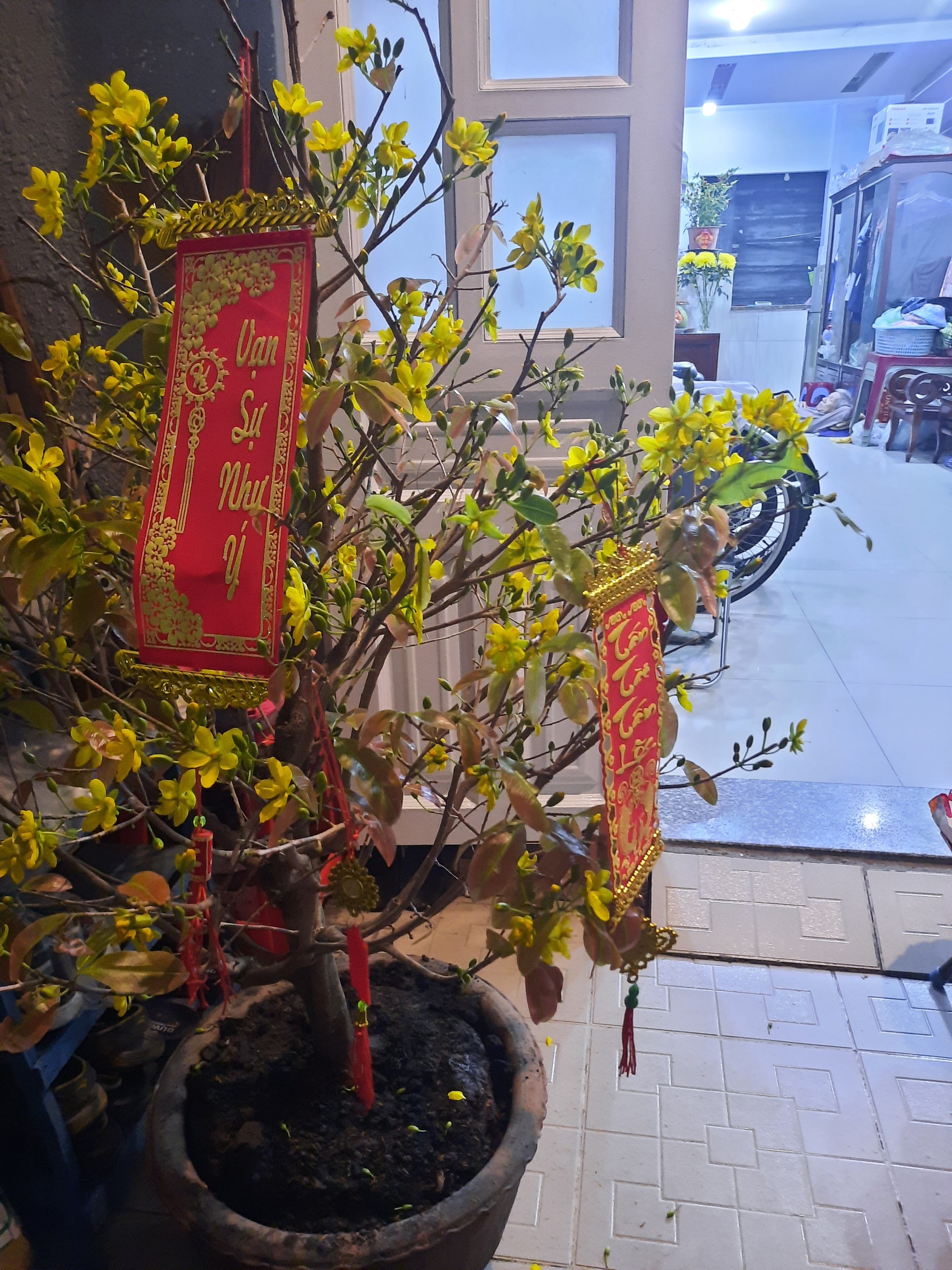 Hình ảnh 1 - Pizza Y