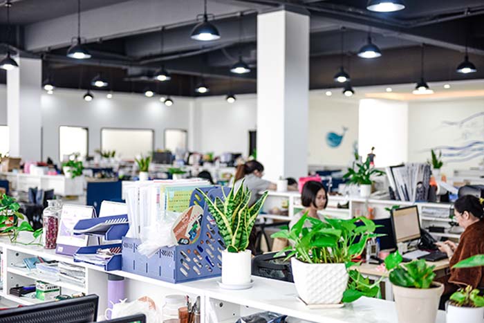 Hình ảnh 1 - Công Ty TNHH Hanin Việt Nam