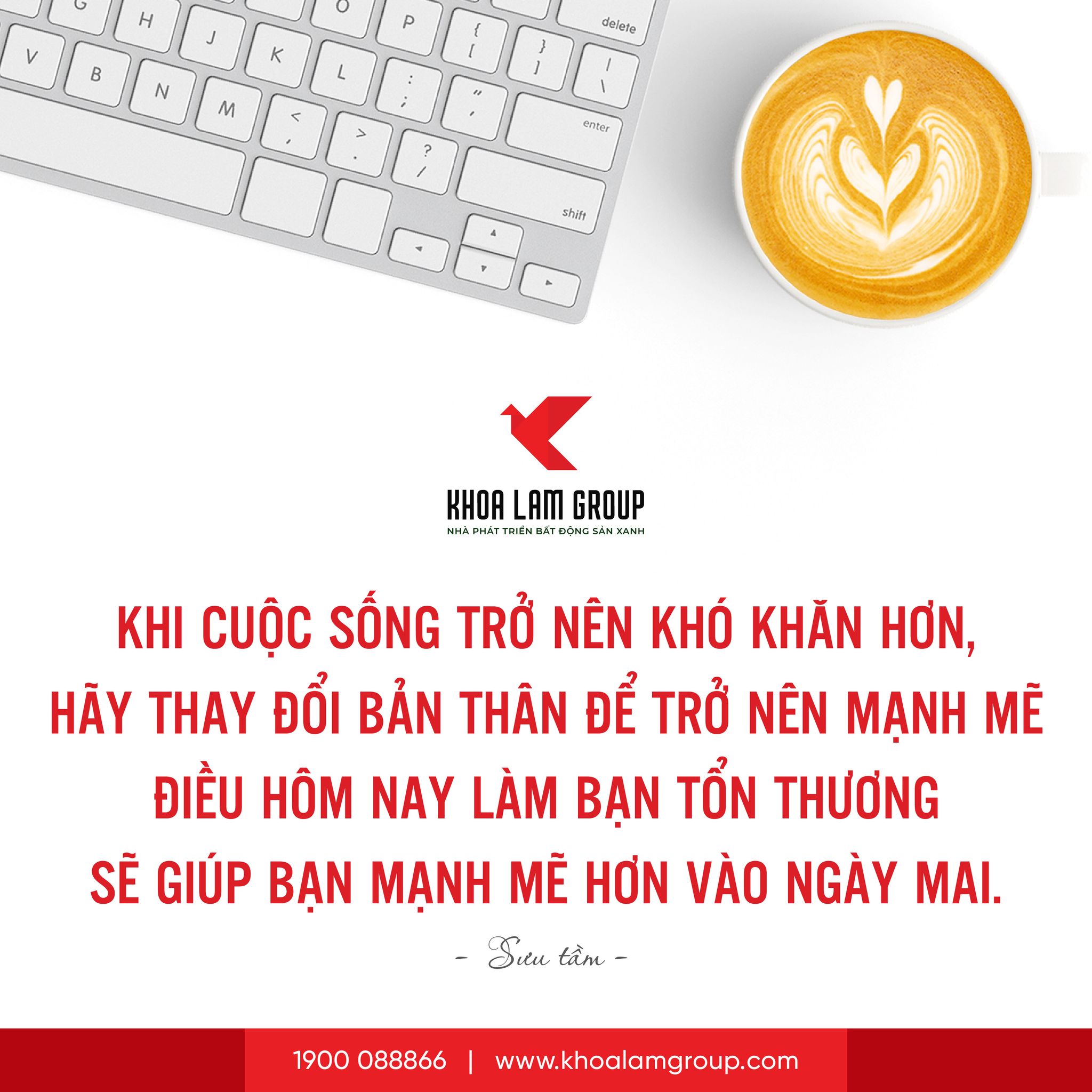 ảnh giới thiệu