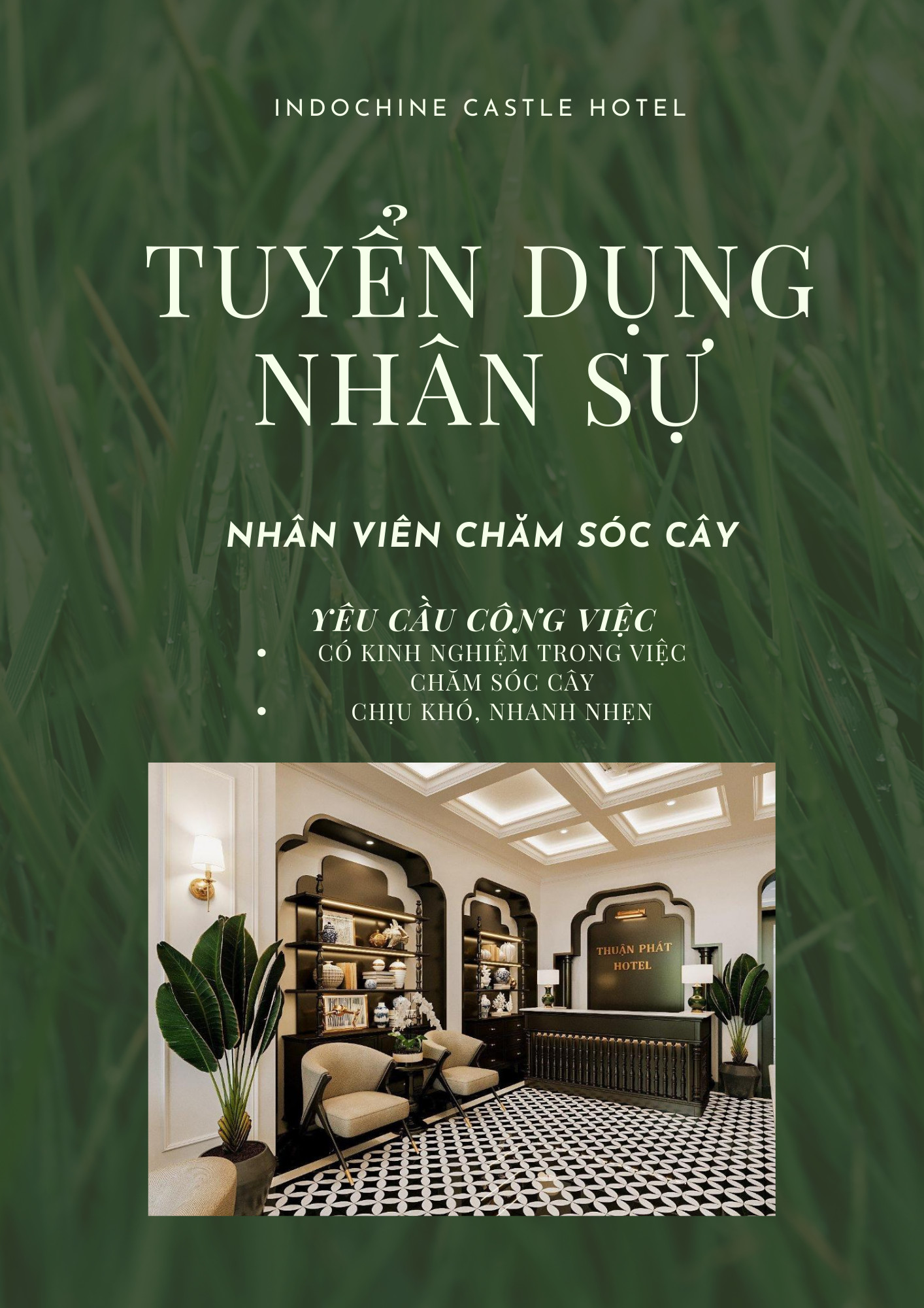 ảnh giới thiệu