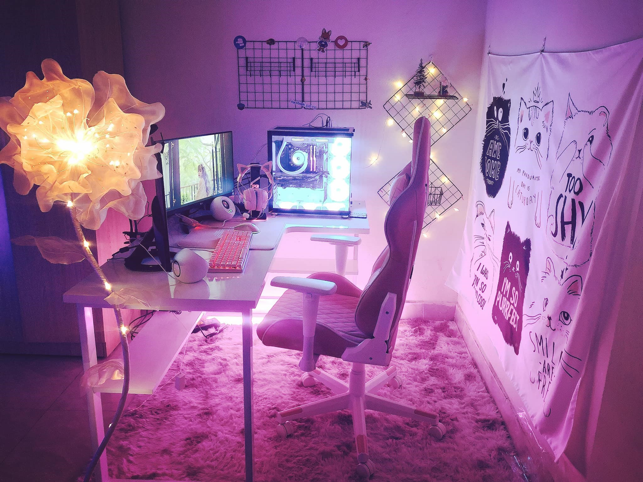 Hình ảnh 1 - Lan Ngọc