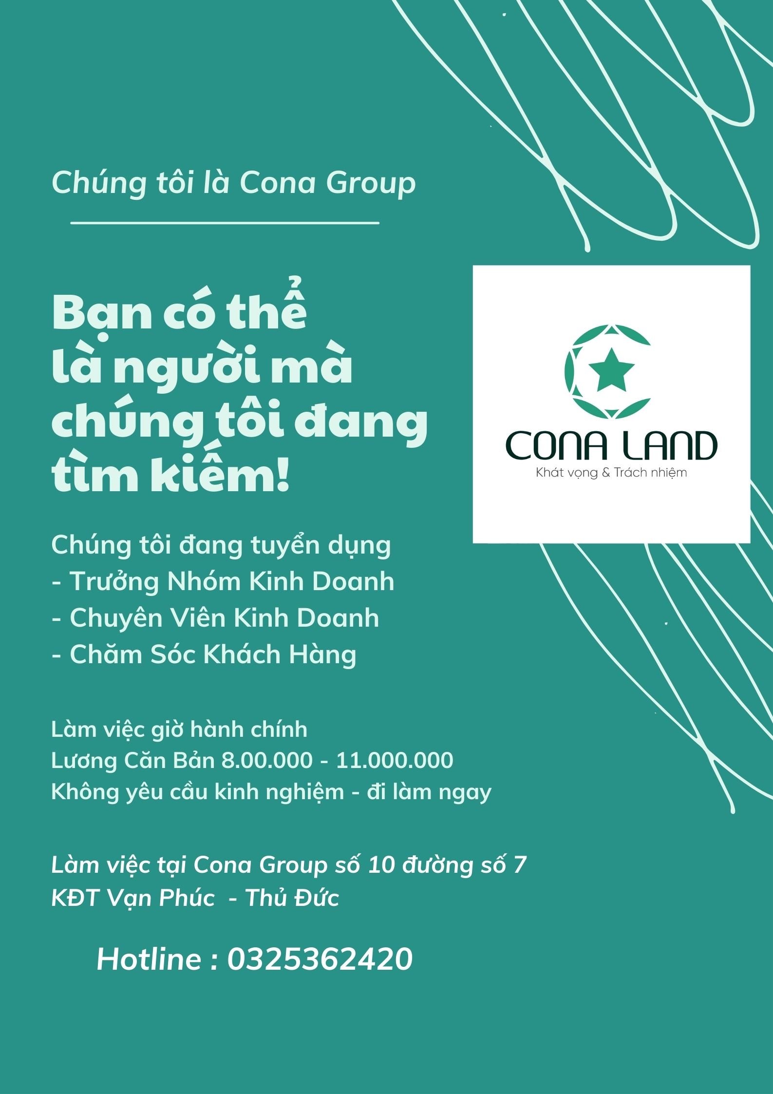 Hình ảnh 1 - Cona