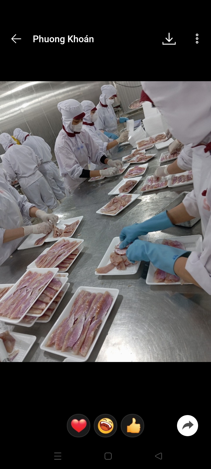 Hình ảnh 1 - Hùng Long Seafood Company Limited