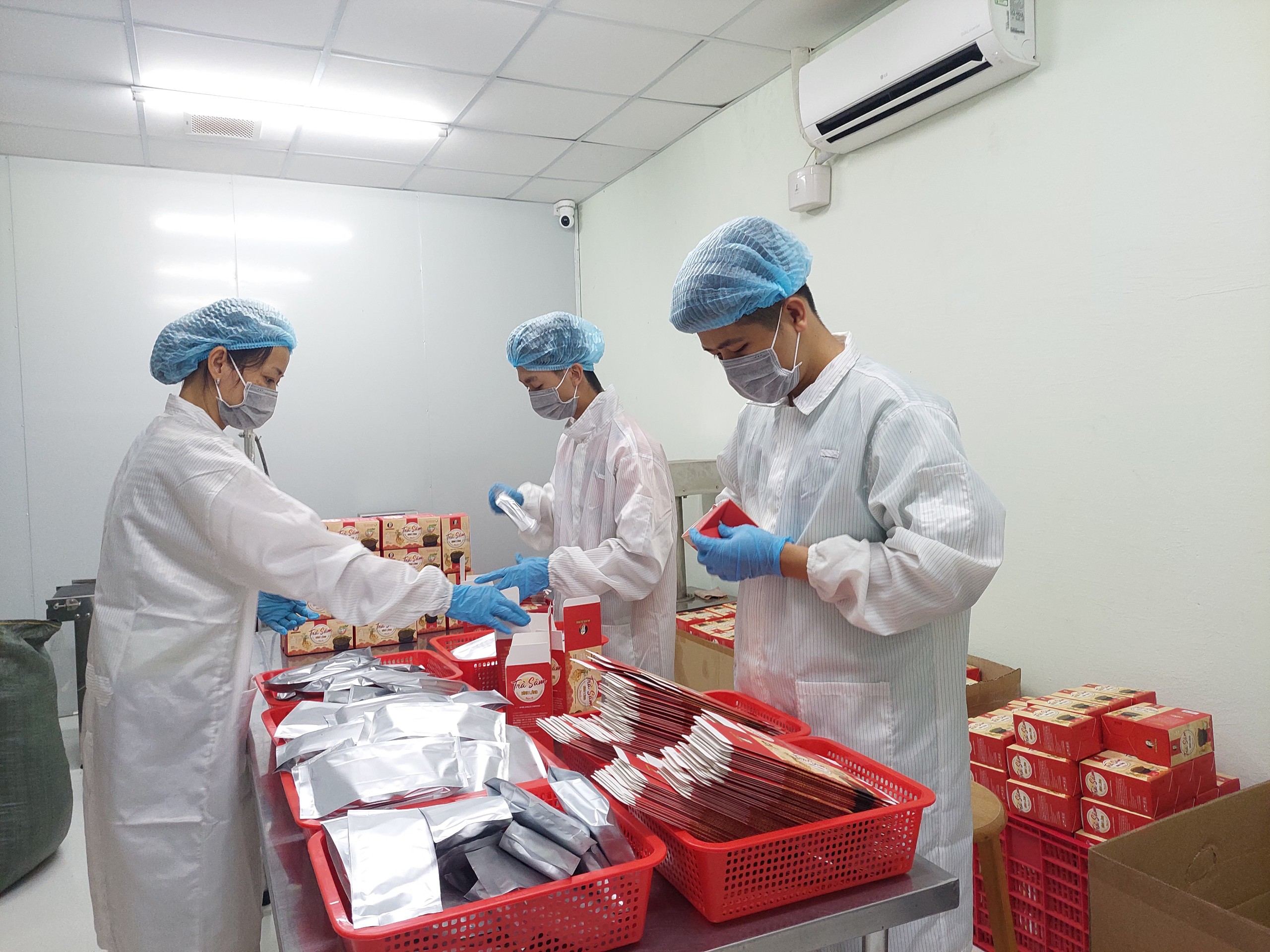 Hình ảnh 1 - Công Ty CP Tập Đoàn Vgins