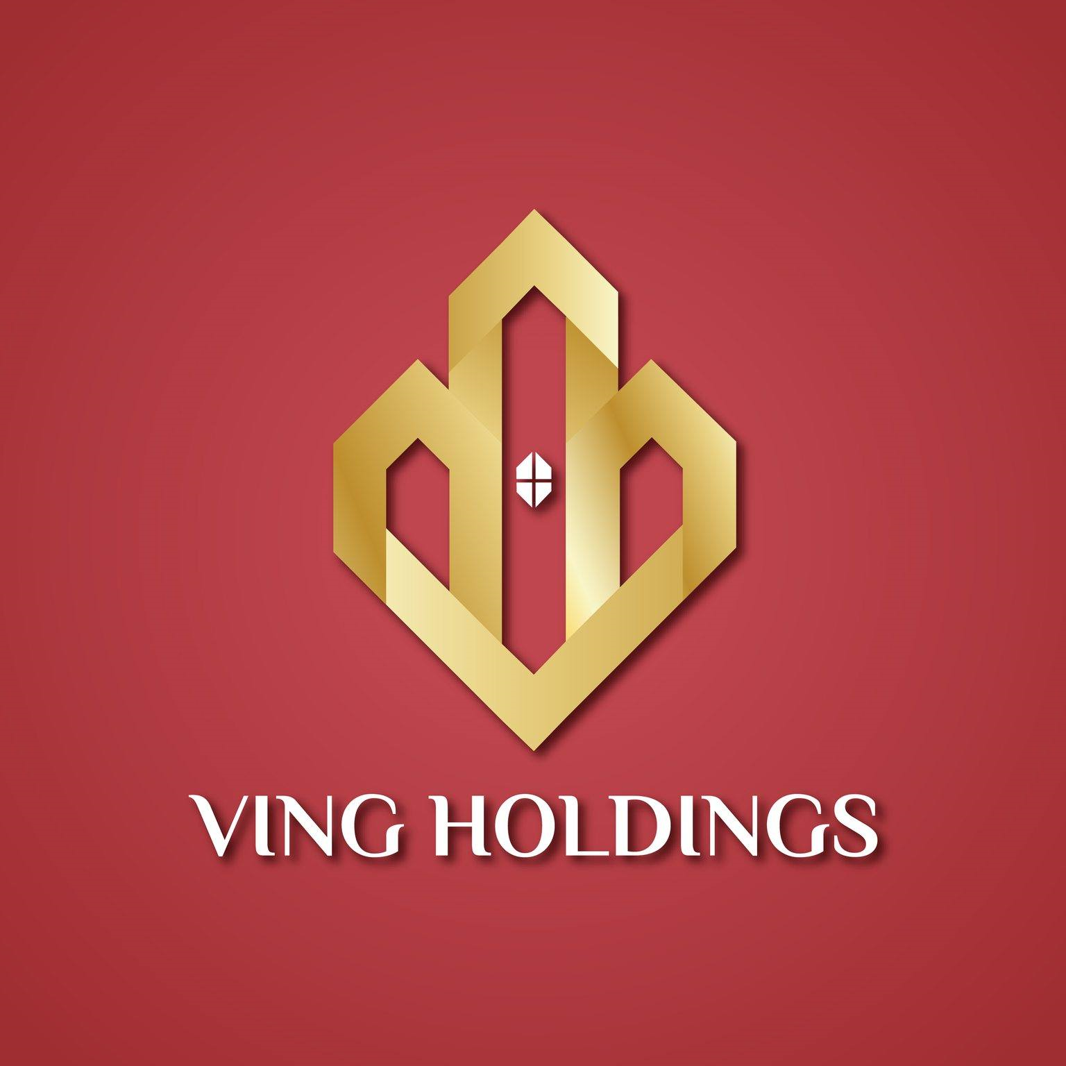 Hình ảnh 1 - Ving Holdings