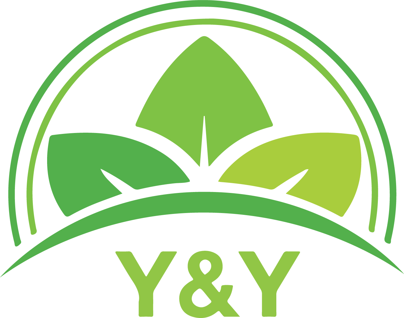 Hình ảnh 1 - Công Ty Cổ Phần Y Y Group