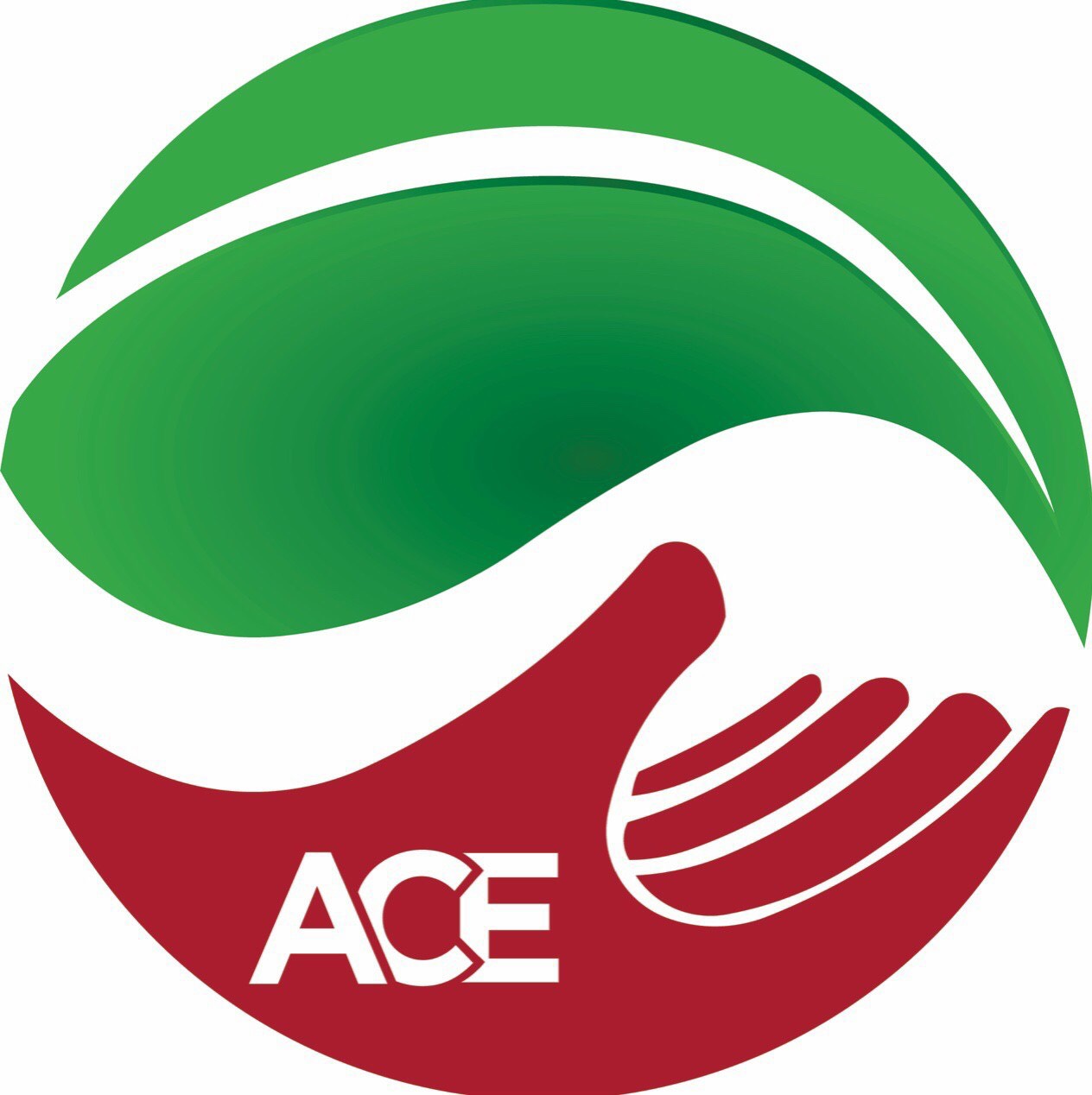 Hình ảnh 1 - Công Ty TNHH Môi Trường Xây Dựng Ace