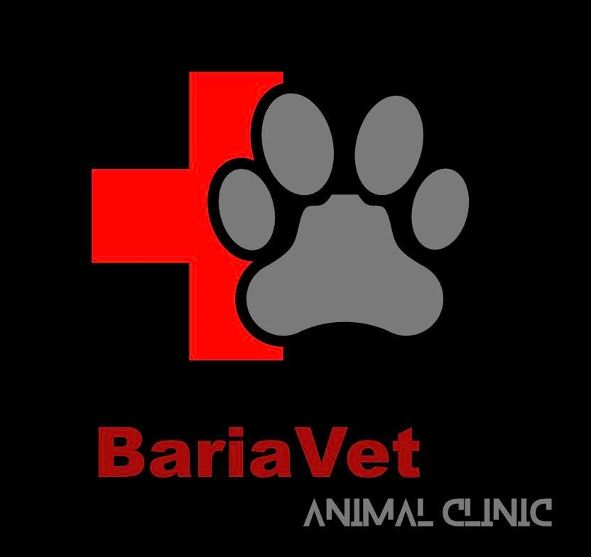 Hình ảnh 1 - Bệnh Viện Thú Y Bà Ria