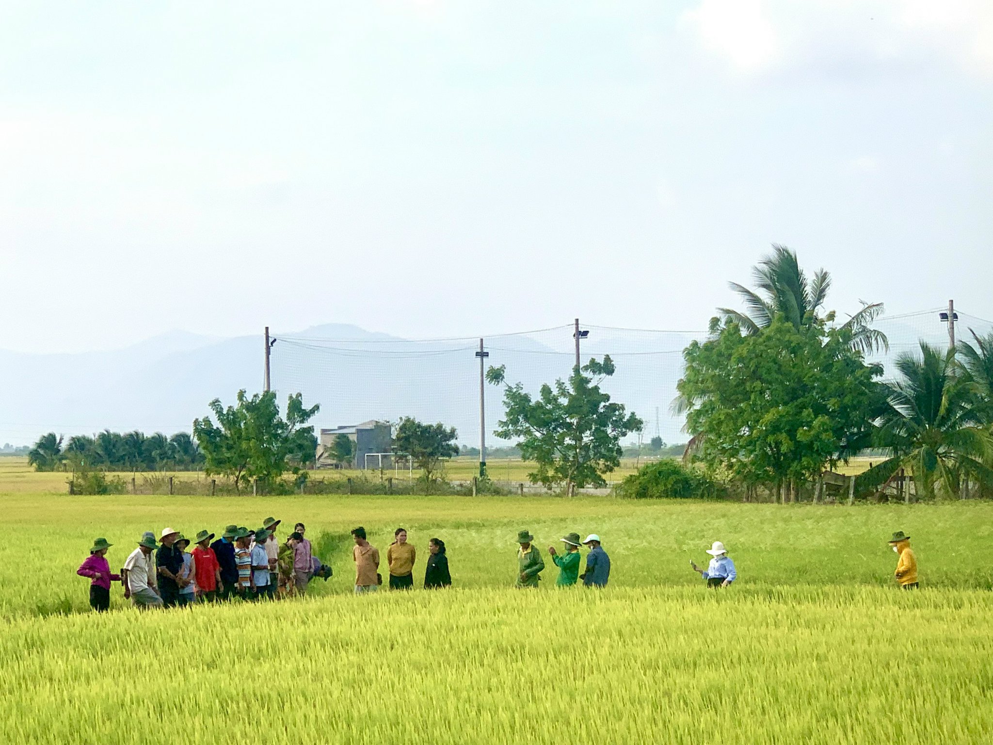 Hình ảnh 1 - Công Ty CP Mộc Điền