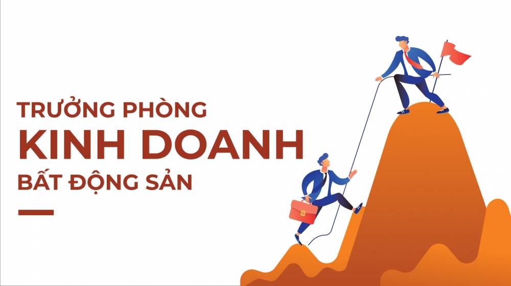 ảnh giới thiệu