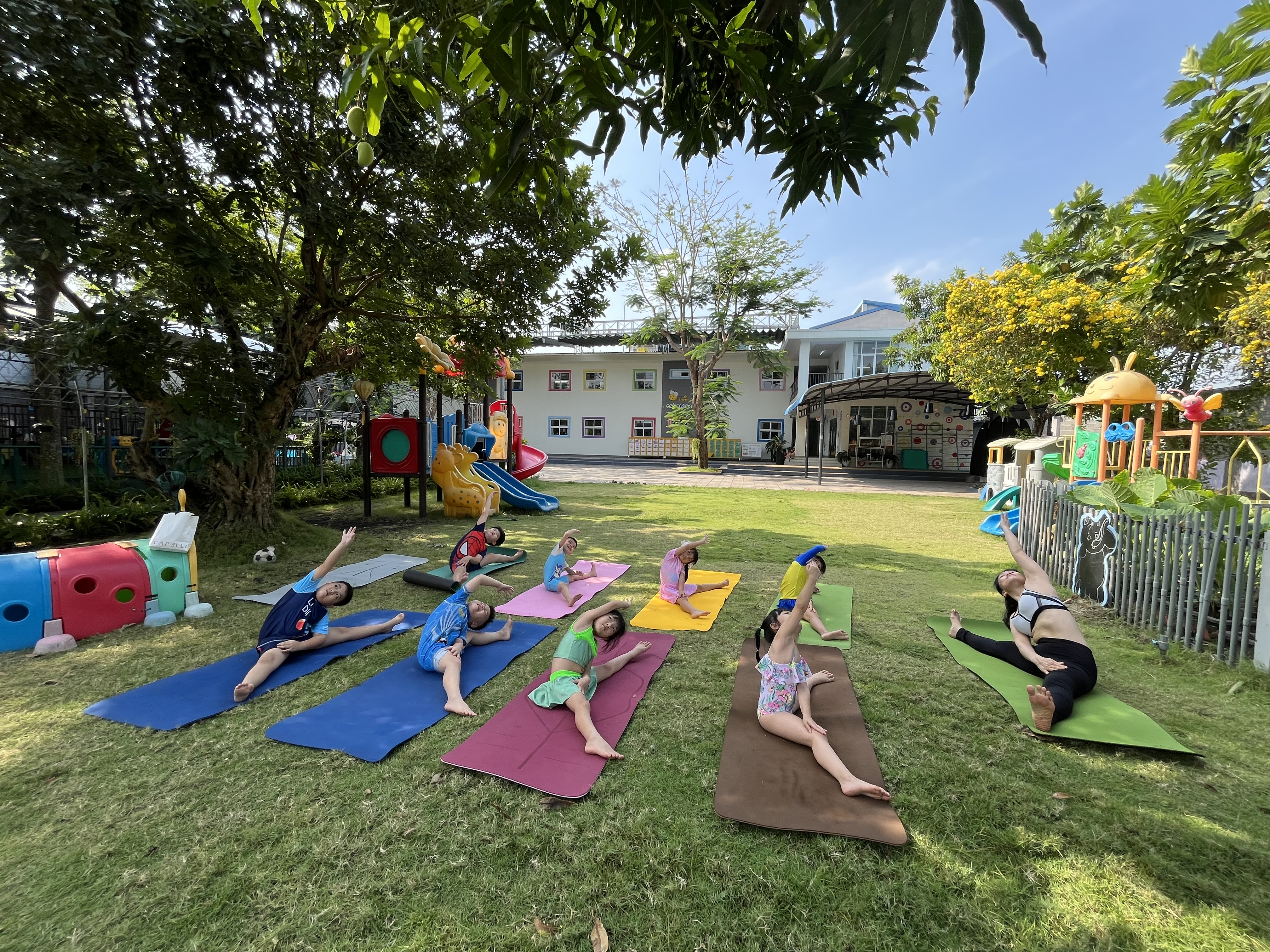 ảnh giới thiệu