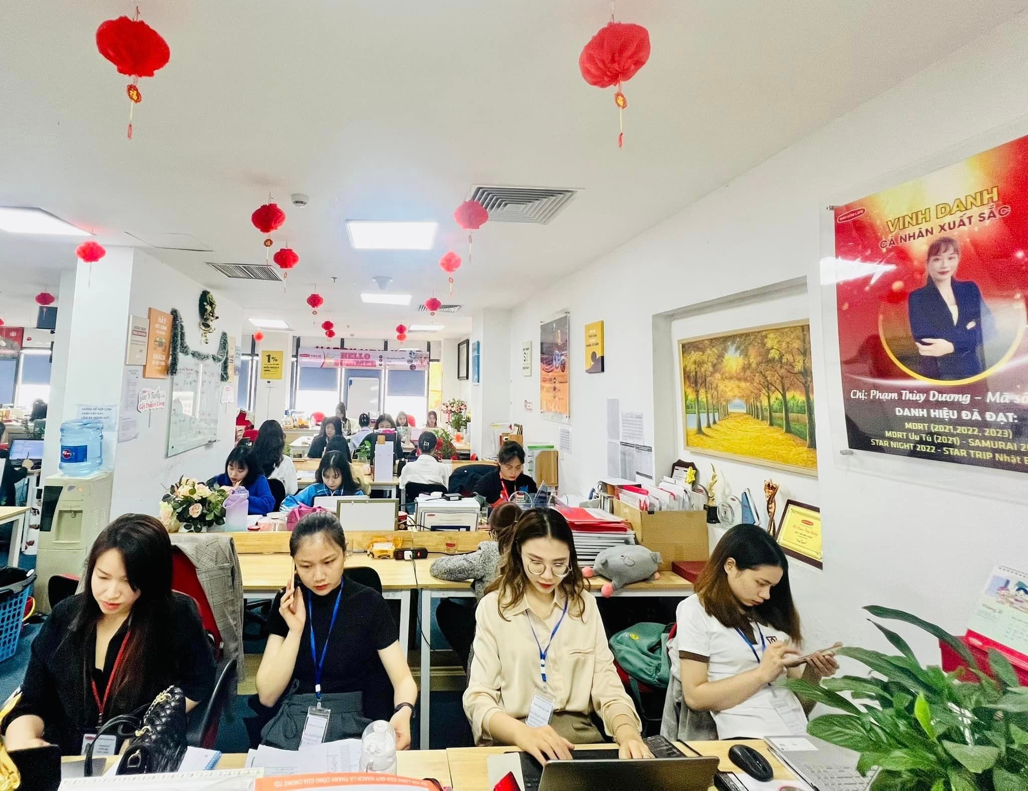 ảnh giới thiệu