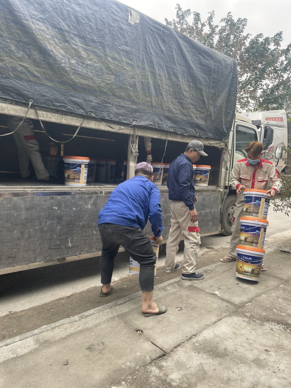 ảnh giới thiệu