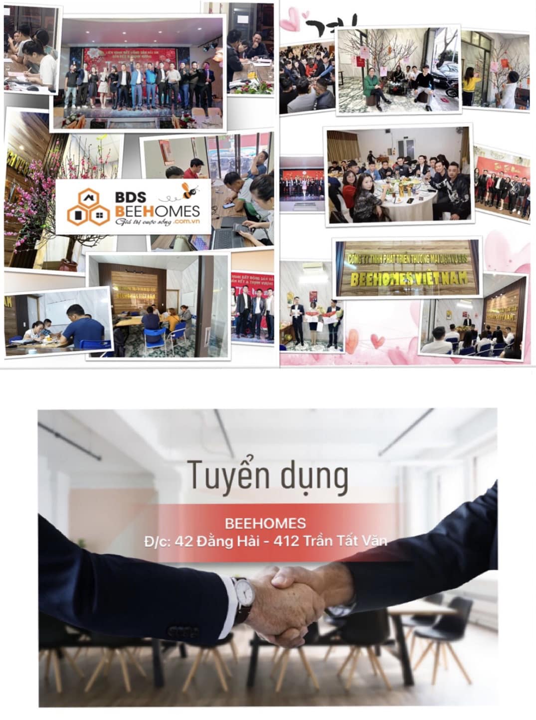 Hình ảnh 1 - Công Ty TNHH Beehome