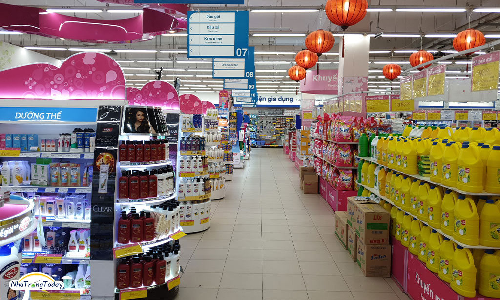 ảnh giới thiệu