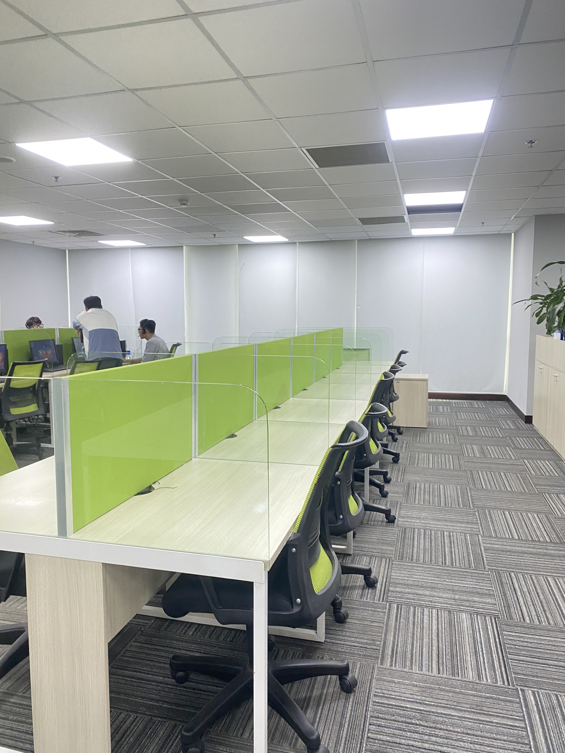 ảnh giới thiệu