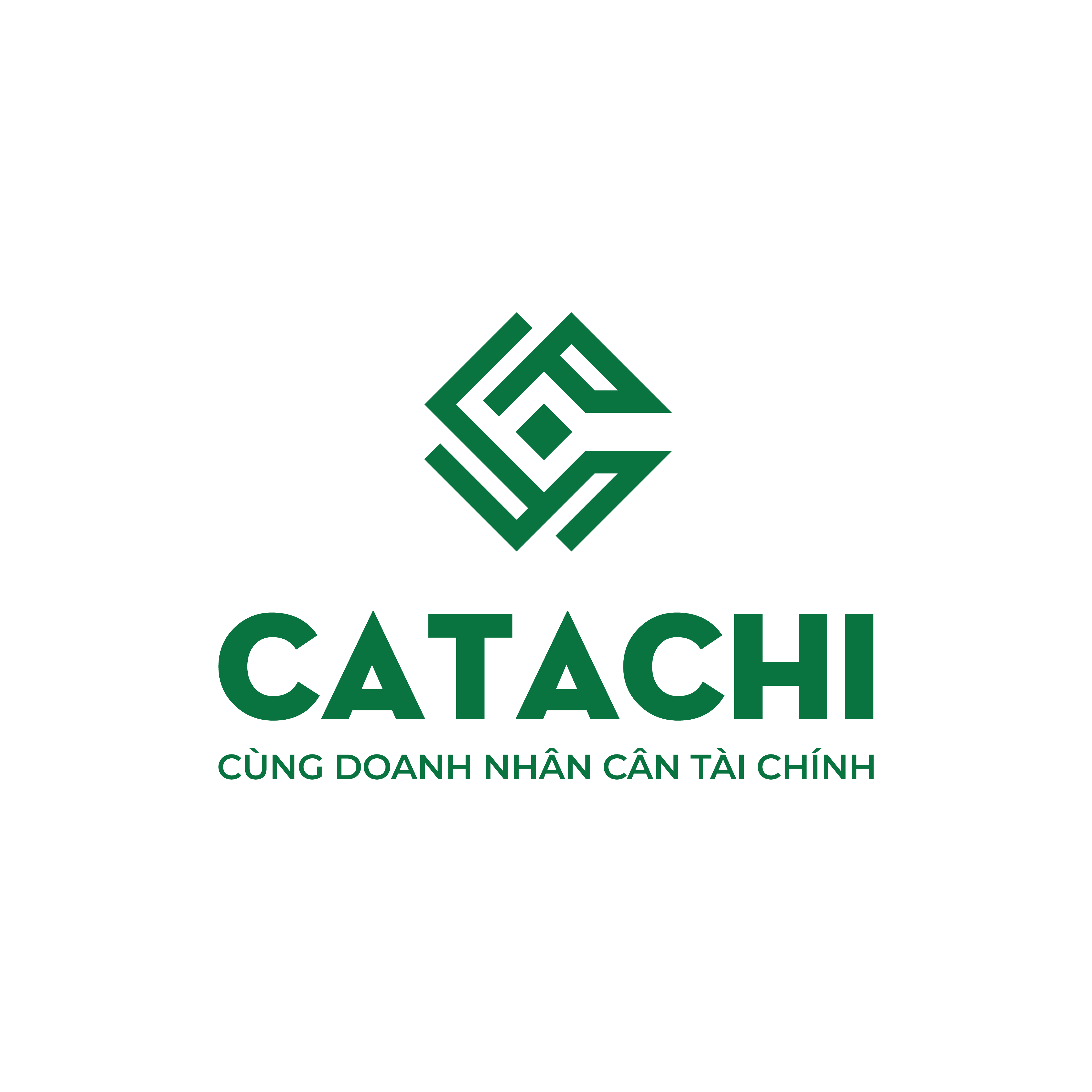Hình ảnh 1 - Công Ty CP Catachi