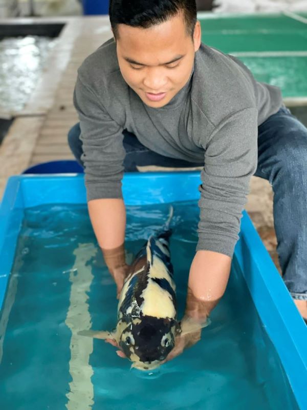 Hình ảnh 1 - Gdrvdf