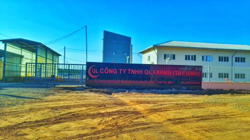 Hình ảnh 1 - Công Ty TNHH Ql Farms (Tây Ninh)