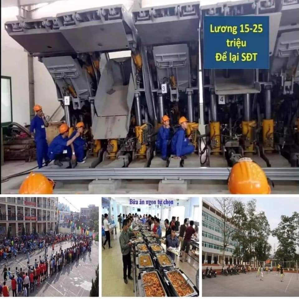 Hình ảnh 1 - Trường Cao Đẳng Than Khoáng Sản Việt Nam