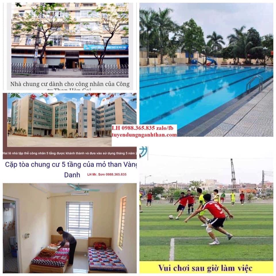 Hình ảnh 1 - Trường Cao Đẳng Than Khoáng Sản Việt Nam