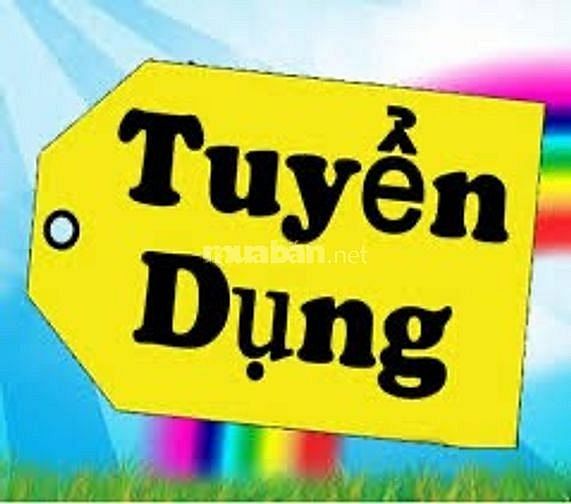 Hình ảnh 1 - Công Ty TNHH Vận Tải Hoàng Phú Long