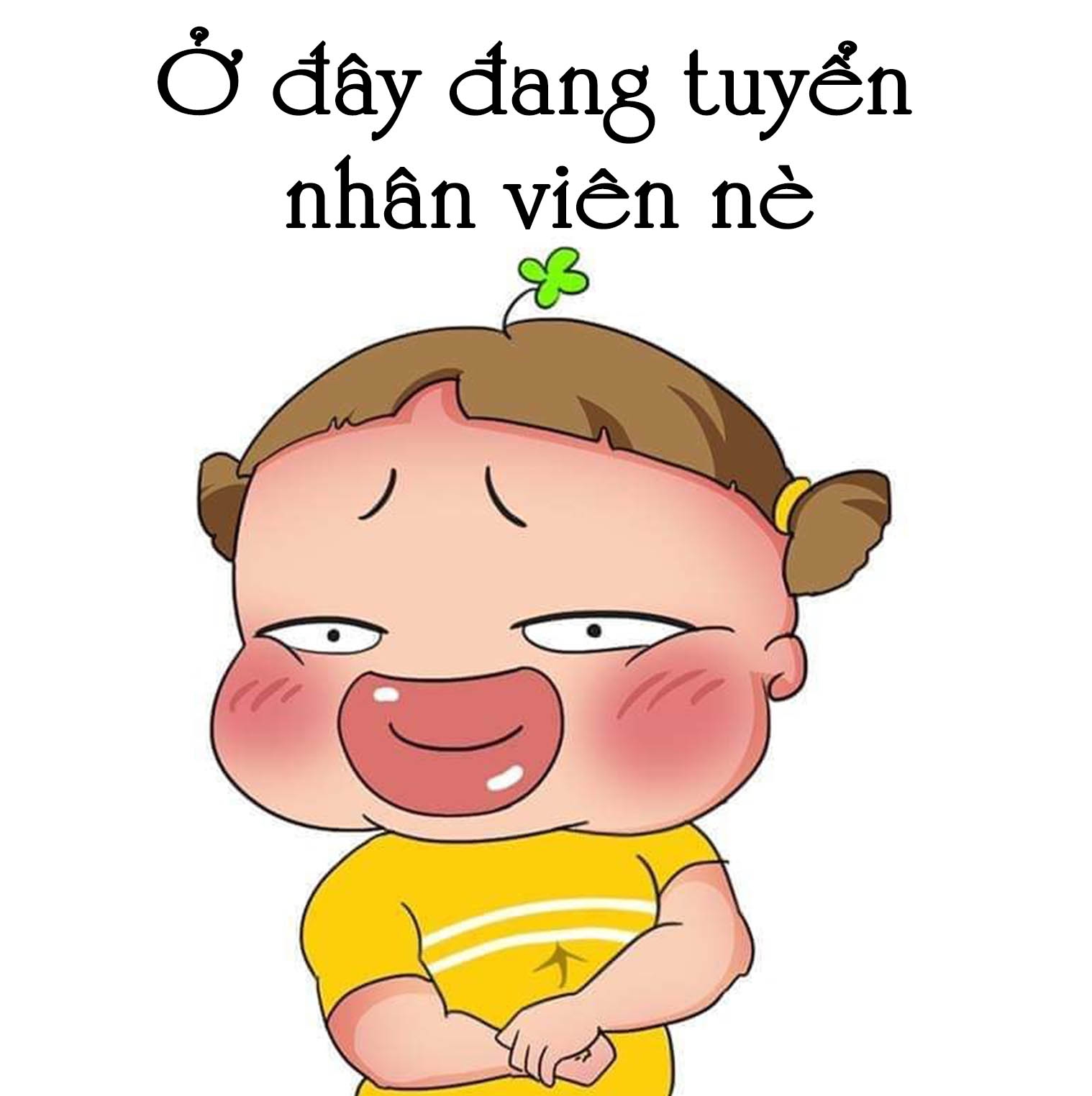 ảnh giới thiệu