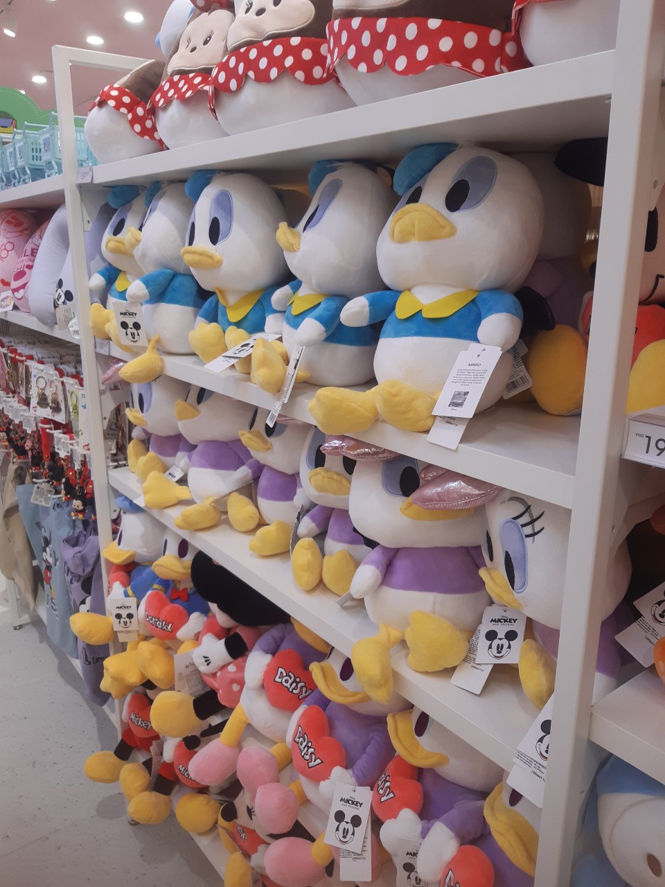 Hình ảnh 1 - Công Ty TNHH Thanh Kim