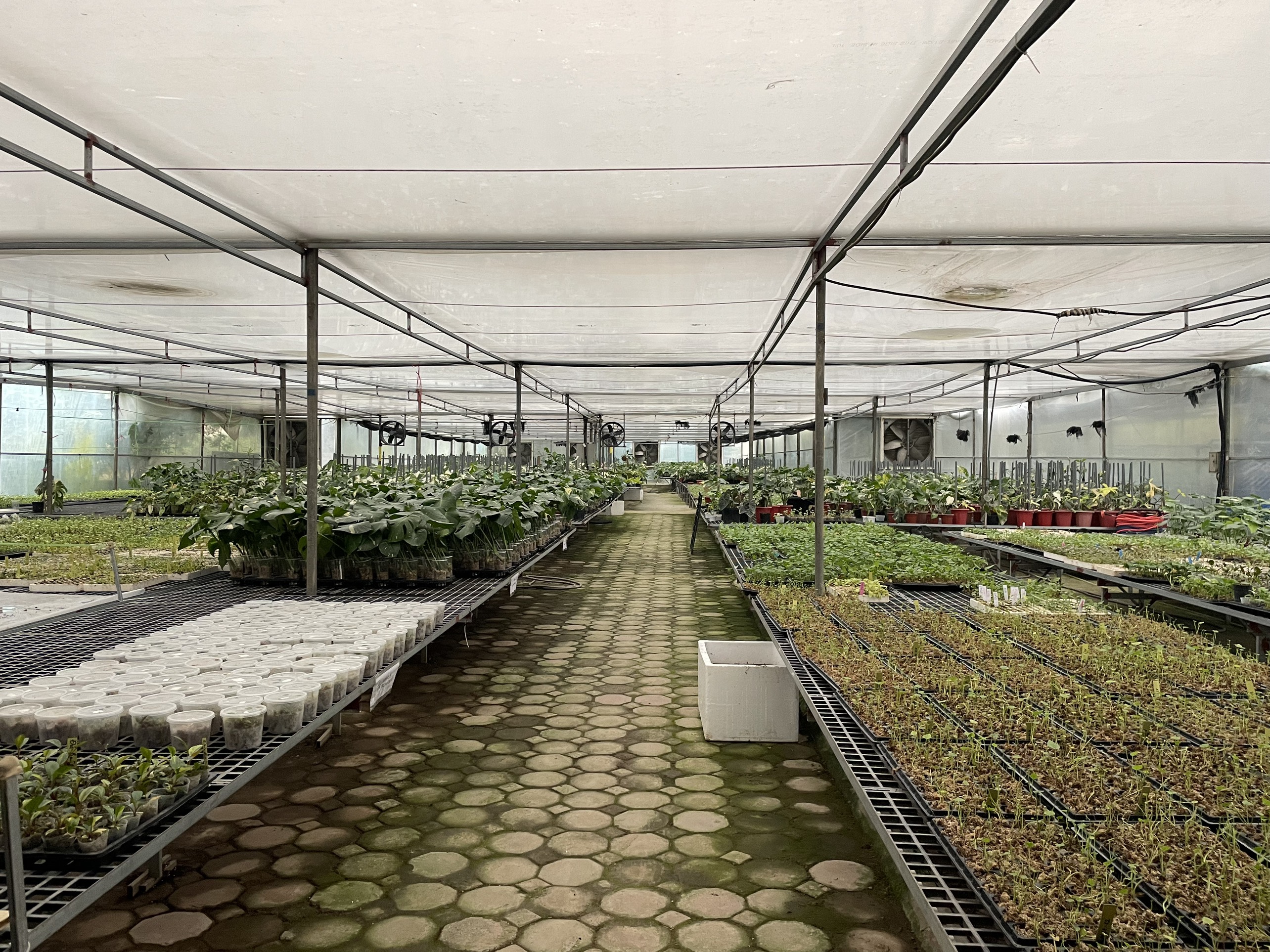 Hình ảnh 1 - Công Ty TNHH Thương Mại Xanh Xanh Urban Forest