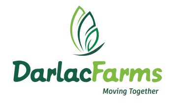 Hình ảnh 1 - Công Ty TNHH Trái Cây Darlac Farms