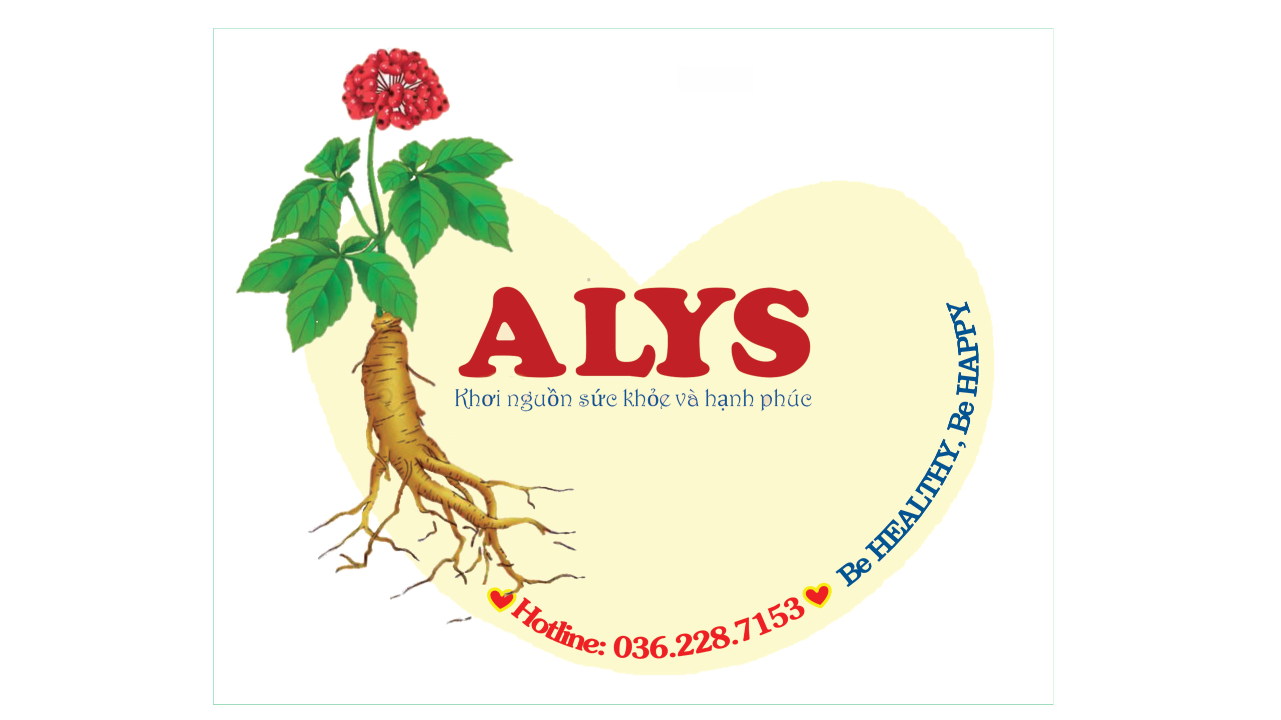 Hình ảnh 1 - Sâm Yến Alys