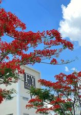 Hình ảnh 1 - Công Ty TNHH Fookyik ( Việt Nam ) Furniture