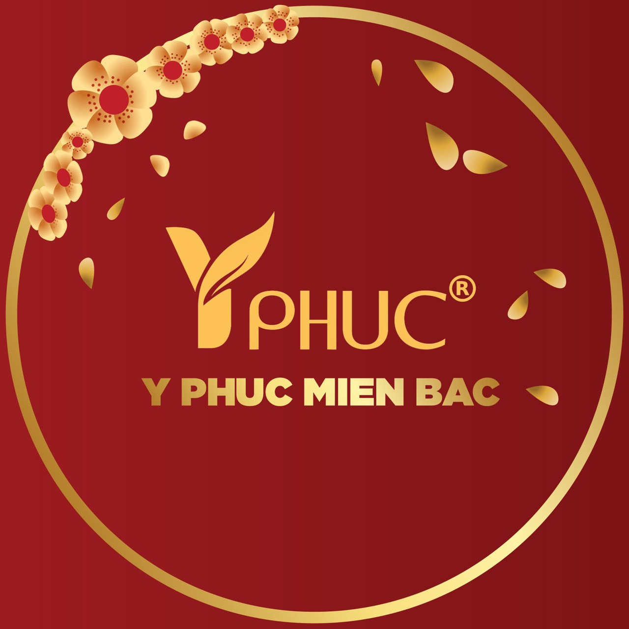 Hình ảnh 1 - Công Ty TNHH Tm Y Phúc Miền Bắc