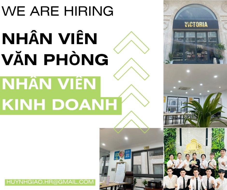 ảnh giới thiệu