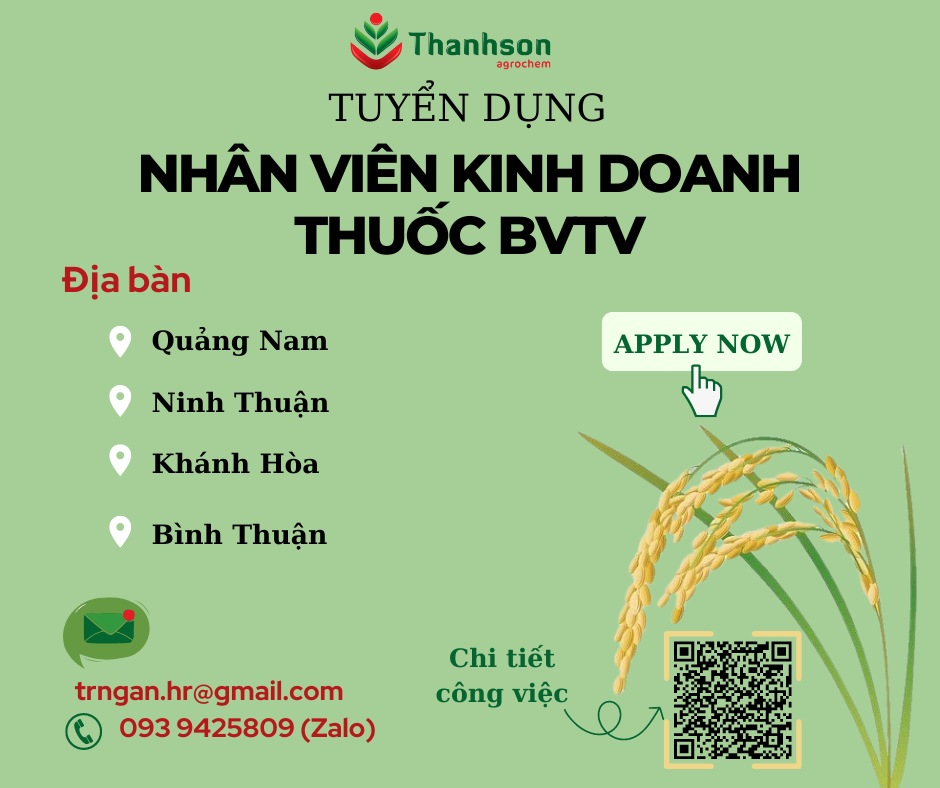 ảnh giới thiệu