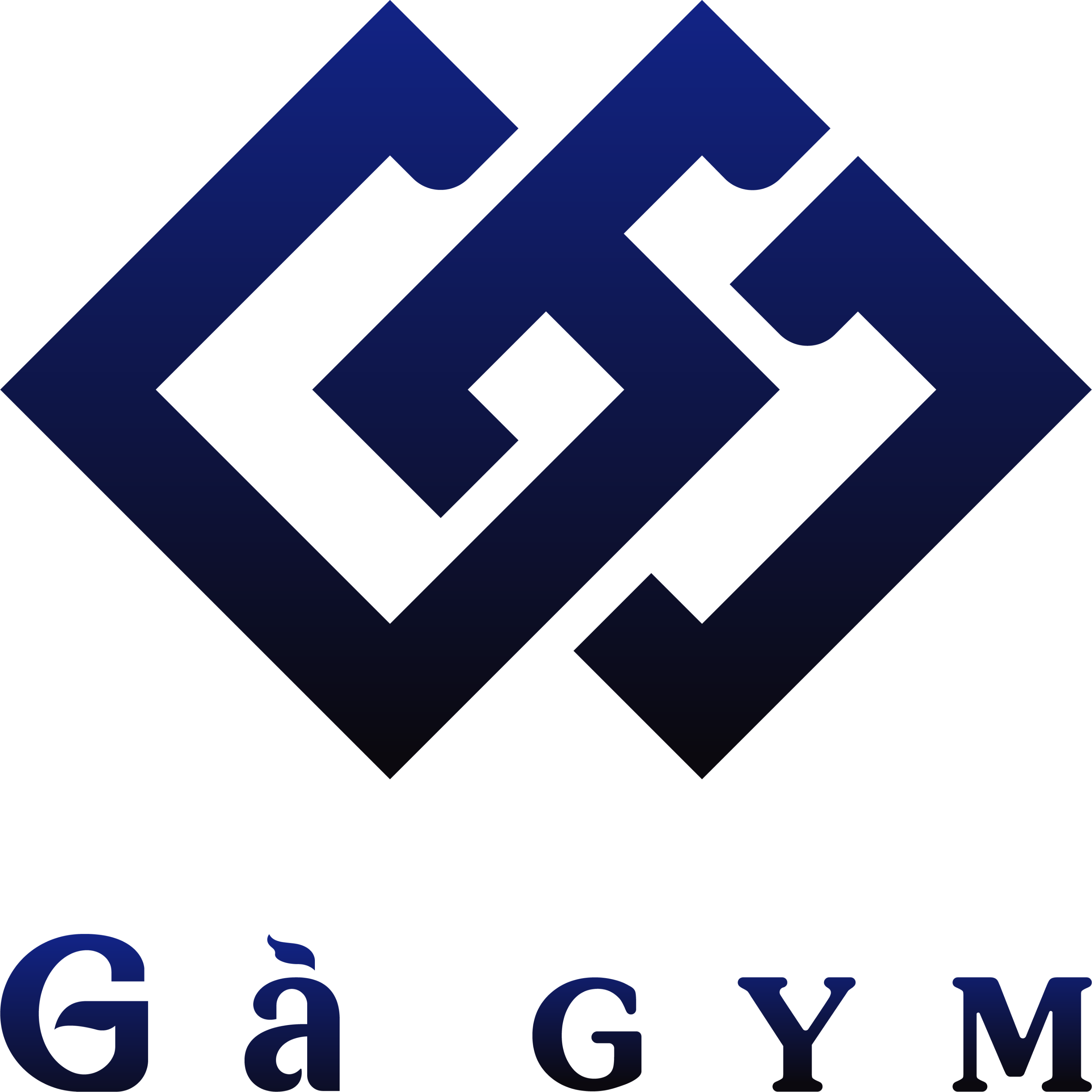 Hình ảnh 1 - Công Ty TNHH Gagym