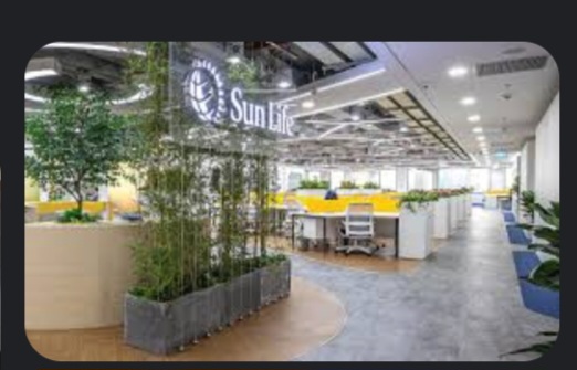 Hình ảnh 1 - Tập Đoàn Sunlife Vn