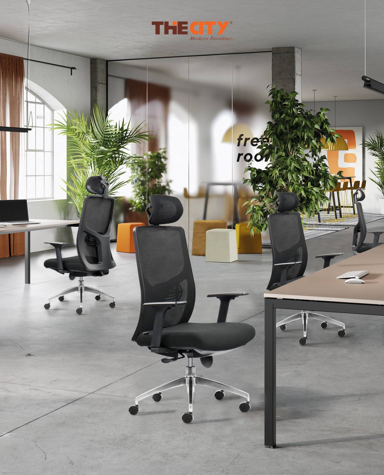 ảnh giới thiệu