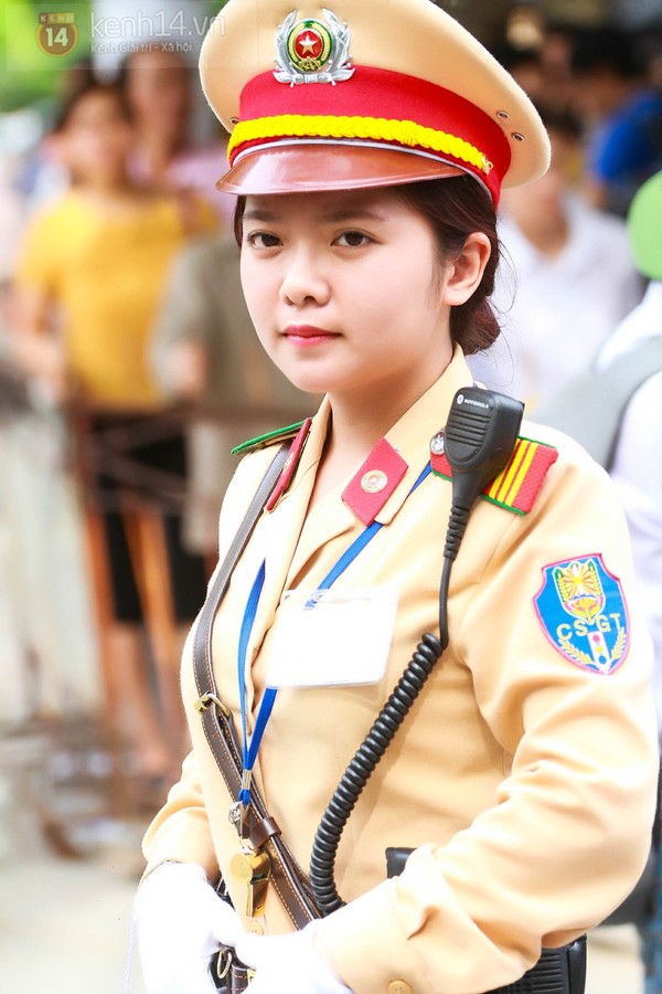 Hình ảnh 1 - Công Ty TNHH Tm Kim Tin Nha Trang