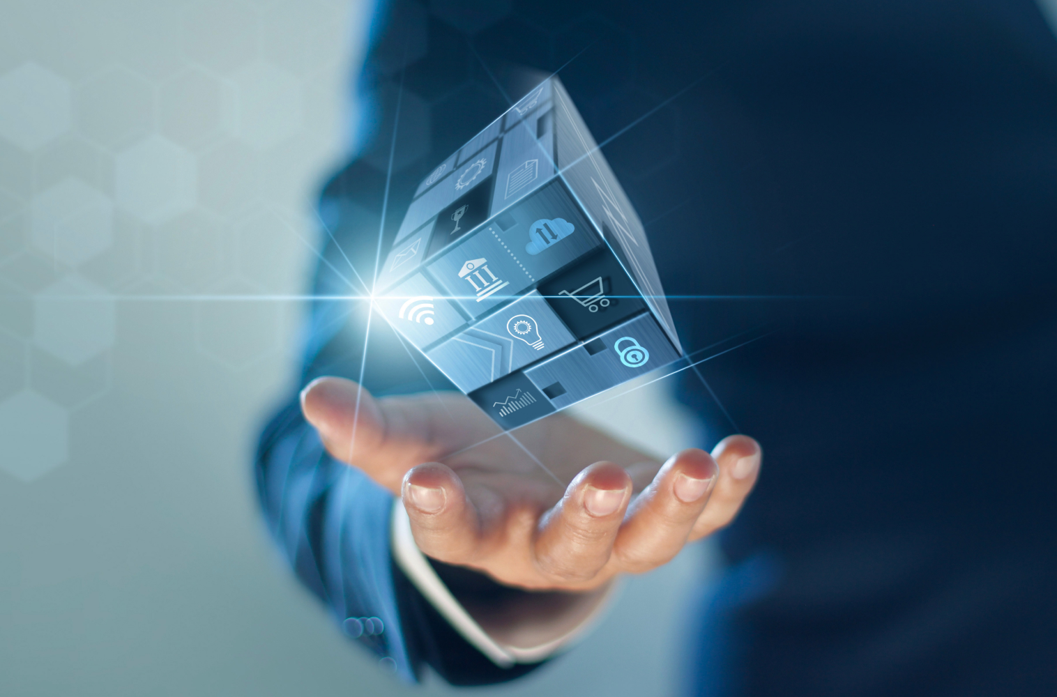 Hình ảnh 1 - Hương Việt Group